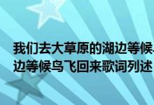 我们去大草原的湖边等候鸟飞回来歌词（我们去大草原的湖边等候鸟飞回来歌词列述）