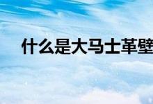 什么是大马士革壁纸（什么品牌比较好）