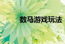 数马游戏玩法（数马游戏怎么玩）