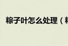 粽子叶怎么处理（粽子叶怎么处理才能用）