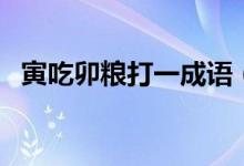 寅吃卯粮打一成语（寅吃卯粮成语的意思）