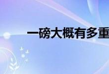 一磅大概有多重（一磅具体有多重）