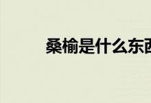 桑榆是什么东西（桑榆是指几岁）