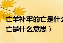 亡羊补牢的亡是什么意思二年级（亡羊补牢的亡是什么意思）