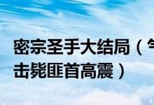 密宗圣手大结局（气功腿功会斗高家虎爪最终击毙匪首高震）
