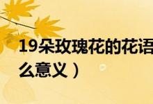 19朵玫瑰花的花语是什么（19朵玫瑰花有什么意义）