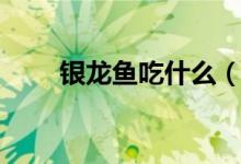 银龙鱼吃什么（银龙鱼吃什么食物）
