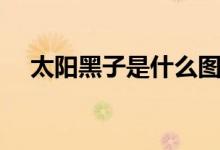太阳黑子是什么图片（太阳黑子是什么）