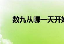 数九从哪一天开始（数九是什么意思）