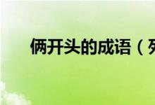俩开头的成语（列举含有俩字的成语）