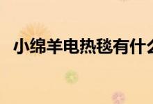 小绵羊电热毯有什么功能（那几款比较好）