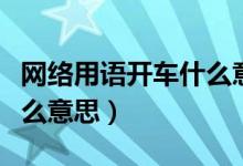 网络用语开车什么意思啊（网络用词开车是什么意思）