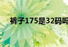 裤子175是32码吗（裤子175是多大码）