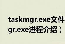taskmgr.exe文件系统错误（win7下taskmgr.exe进程介绍）