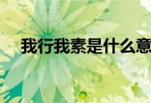 我行我素是什么意思（我行我素的意思）