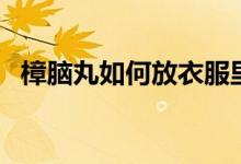 樟脑丸如何放衣服里面（樟脑丸如何使用）