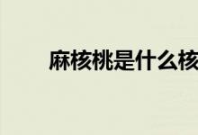 麻核桃是什么核桃（麻核桃是什么）