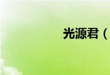 光源君（光源的分类）