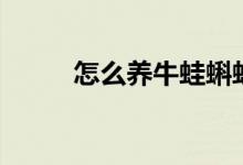 怎么养牛蛙蝌蚪（这两点要注意）