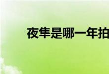 夜隼是哪一年拍的（夜隼是什么鸟）