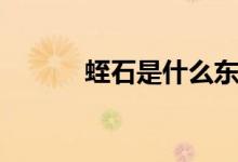 蛭石是什么东西（有什么作用）