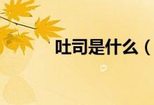 吐司是什么（吐司是什么东西）