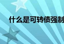 什么是可转债强制赎回（什么是可燃冰）