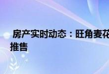  房产实时动态：旺角麦花臣汇最快下周开价 首批60伙月内推售 