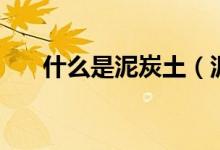 什么是泥炭土（泥炭土优缺点有哪些）
