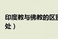 印度教与佛教的区别（佛教和印度教的不同之处）