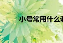 小号常用什么调（小号常见指法）