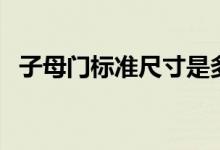 子母门标准尺寸是多少（子母门尺寸比例）
