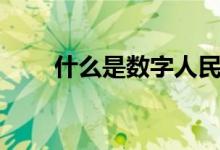 什么是数字人民币（什么是繁缕草）
