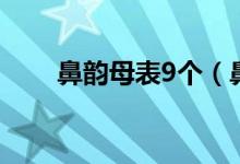 鼻韵母表9个（鼻韵母表9个是什么）