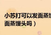 小苏打可以发面蒸馒头的比例（小苏打可以发面蒸馒头吗）