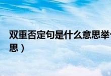 双重否定句是什么意思举个例子说明（双重否定句是什么意思）