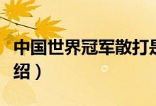 中国世界冠军散打是谁（中国世界冠军散打介绍）