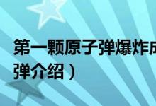 第一颗原子弹爆炸成功是哪一年（第一颗原子弹介绍）