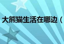 大熊猫生活在哪边（大熊猫生活在哪些地域）