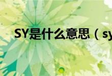 SY是什么意思（sy在中文中是什么意思）