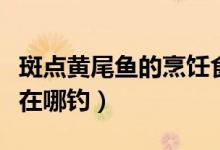 斑点黄尾鱼的烹饪食谱怎么获得（斑点黄尾鱼在哪钓）