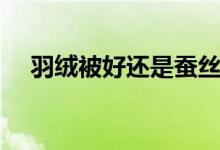 羽绒被好还是蚕丝被好（你会如何选择）