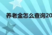 养老金怎么查询2019（养老金怎么查询）