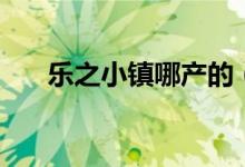 乐之小镇哪产的（什么牌子记忆枕好）