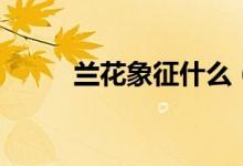 兰花象征什么（兰花代表着什么）
