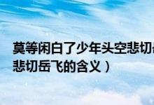 莫等闲白了少年头空悲切岳飞的意思（莫等闲白了少年头空悲切岳飞的含义）