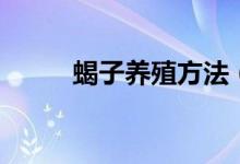 蝎子养殖方法（蝎子的养殖方法）
