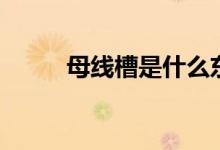 母线槽是什么东西（有什么特点）