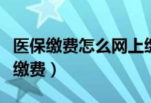 医保缴费怎么网上缴费（医疗保险在网上怎么缴费）