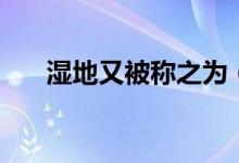 湿地又被称之为（湿地又被称为什么）